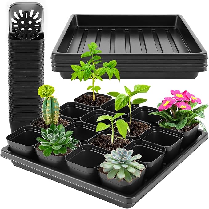 Thick Seedling Trays 3 Pics with 50 Pics Easy-to-Remove Nursery Pots, Durable Trays for Seed Starting, Propagation, and Microgreens