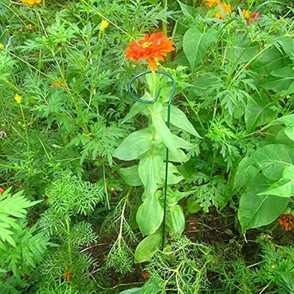 36 Inches Single Stem Plant Support Stakes Steel Garden Stakes Plant Stem Support, Pack of 20