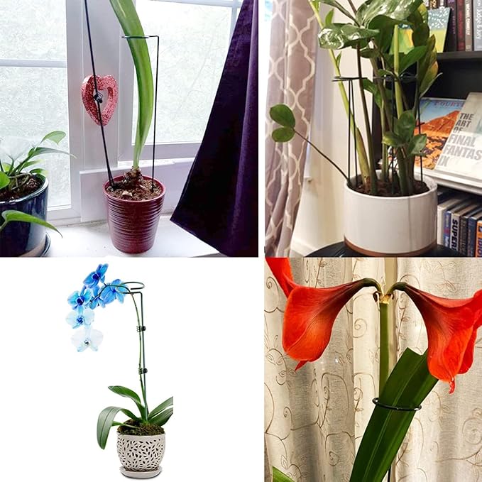10 pcs 16 inch Metal Single Stem Flower Plant Support Stakes and Rings for Amaryllis Orchid Lily Sunflower Rose Narcissus