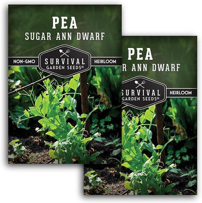 Sugar Ann Dwarf Pea Seeds for Planting - Compact Sugar Snap Peas for Containers and Small Gardens, High Yield Heirloom Open Pollinated Non-GMO - Survival Garden Seeds (2 Pack)