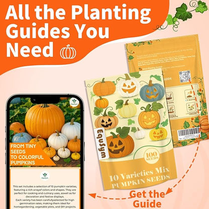 10 Variety Mix Pumpkin Seeds for Planting - 100 Heirloom Seeds, Baby Boo, Blue Jarrahdale, Jack Be Little, Jack O Lantern, Sugar Pie, Yellow Paris for Summer & Fall, Non GMO Pumpkin Seed