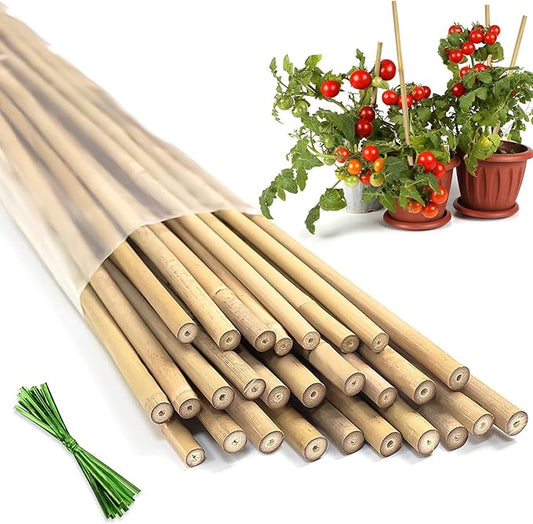 Plant Stakes,20Pcs Bamboo Stakes,16 Inches Natural Bamboo Plant Support Stakes,Bamboo Stakes for Indoor and Outdoor Plants Tomatoes Beans Flowers Potted Plants Climbing Support