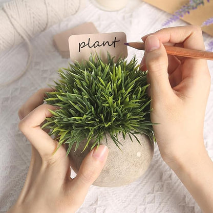 VGOODALL 120PCS 4 Inch T-Type Plant Tags, with Marker Pen, Waterproof Garden Signs for Outdoor Plants