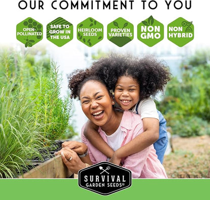 Anise Seeds for Planting - Sweet Anise Herb (Pimpinella anisum) - Culinary and Tea Garden Variety, Heirloom Non GMO - Survival Garden Seeds (5 Pack)