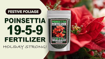 Fertilizer Commercial Grade | Poinsettia 19-5-9 | 3 Pounds | Controlled Release Granular | 3–4 Month Feeding | Magnesium Sulfur Iron Manganese Zinc | Topdress Water in | Christmas Holiday Display
