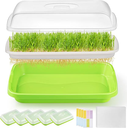 6 Pack Green Seed Sprouter Trays with Lid, Soil-Free Cultivation Germination Tray, Nursery Tray with Planting Paper for Indoors or Outdoors