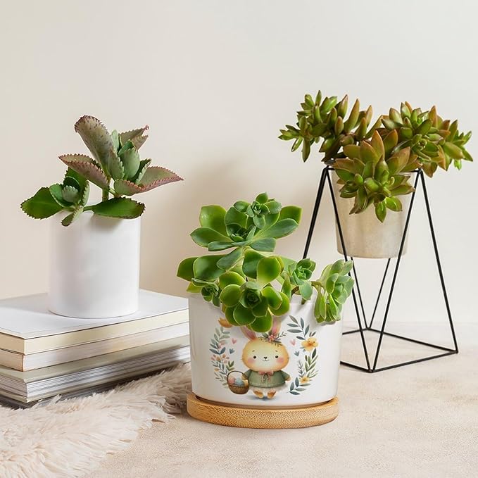 DreamAutumn Easter Bunny Rabbit Ceramic Planters Ceramic Pots with Saucers Orchid Pots for Plants Succulents Pots Office Desk Garden Balconys New Home Decor,Gifts for Mom Mother Grandmother