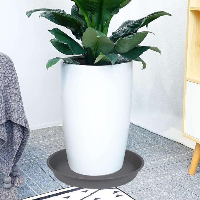 6 Pack of Plant Saucer 8 Inch, 8 inch Plant Saucer Round, Plastic Flower Plant Trays for Pots, Plant Saucers for Indoors 8", Plant Pot Saucers, Planter Tray for Planter 6-8" (8", Gray)