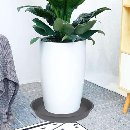 6 Pack of Plant Saucer 8 Inch, 8 inch Plant Saucer Round, Plastic Flower Plant Trays for Pots, Plant Saucers for Indoors 8", Plant Pot Saucers, Planter Tray for Planter 6-8" (8", Gray)