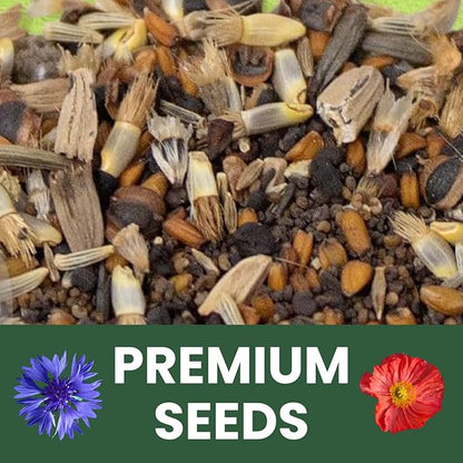 Northeast Natives Mix – 16,000 Seeds for Planting – 2026 Season – 1 Ounce Pouch