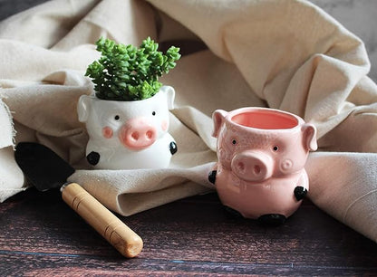 Cute Pig Planter Kitchen Pig Decor 2 Pack Ceramic Succulent Flower Pots with Drainage Hole, Office Décor
