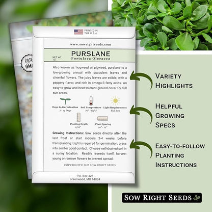 Sow Right Seeds - Purslane Seeds for Planting - Non-GMO Heirloom Packet with Instructions to Grow an Outdoor or Indoor Vegetable Garden - Rare Edible & Culinary Variety - Medicinal Benefits & Uses (4)