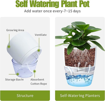 6 Inch Self Watering Plastic Plant Pots for Indoor Plants - 3 Pack White Orchid Planters with Wick Ropes & Drainage Holes, Modern Decorative Garden Pots with Water Reservoir