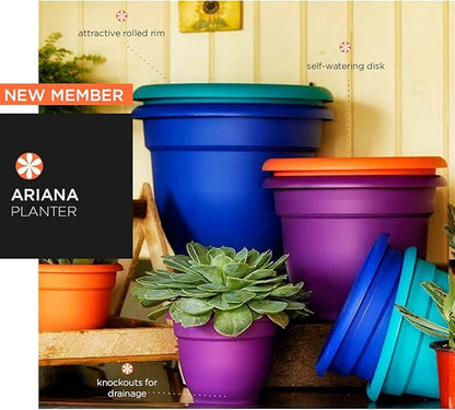 Bloem Ariana 16" Peppercorn Round Self-Watering Resin Planter Pot - Rolled Rim Indoor and Outdoor Gardening Planter