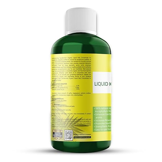 Organic Premium Kelp Seaweed Concentrate for Gardenia - Liquid Fertilizer - Liquid Plant Food - Nutrient-Rich Soil Enhancer - Natural Plant Food for Gardenia Plant (16 OZ), OLKC-14