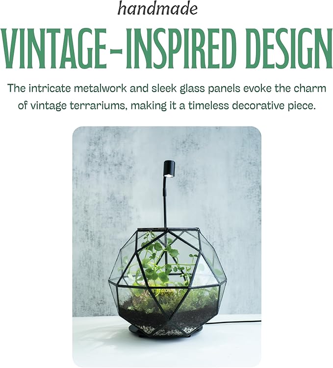 KraftStories Clear Glass Terrarium with Door | Sphere Design Container | Ideal Planter for Moss and Indoor Plants | Maintains Humidity | Self-Sustaining Indoor Garden Ecosystem (Only Terrarium)