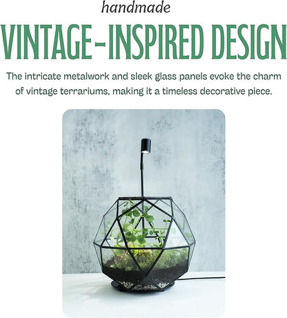 KraftStories Clear Glass Terrarium with Door | Sphere Design Container | Ideal Planter for Moss and Indoor Plants | Maintains Humidity | Self-Sustaining Indoor Garden Ecosystem (Only Terrarium)