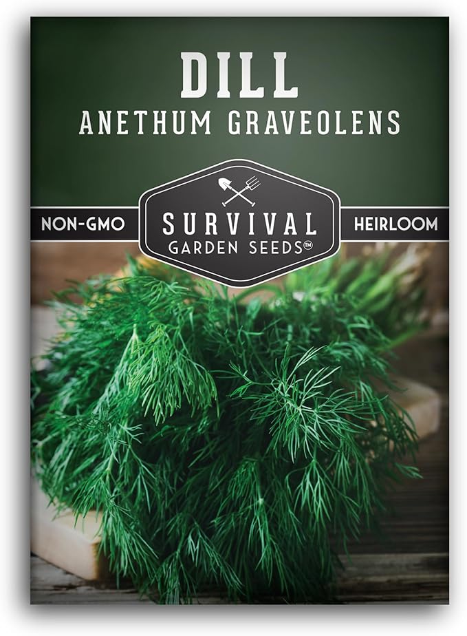 Dill Seeds for Planting – Bouquet Dill Seed to Plant for Pickling & Fresh Cooking, High Germination Non-GMO Heirloom Herb for Outdoor Growing – Survival Garden Seeds (1 Pack)