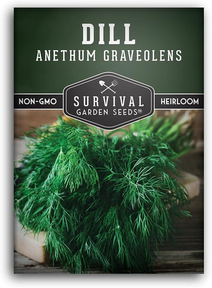 Dill Seeds for Planting – Bouquet Dill Seed to Plant for Pickling & Fresh Cooking, High Germination Non-GMO Heirloom Herb for Outdoor Growing – Survival Garden Seeds (1 Pack)