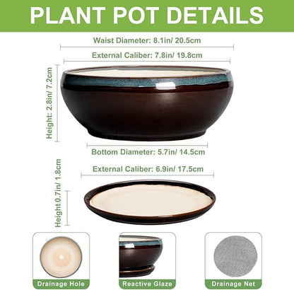 SQOWL Succulent Planters 8 Inch - Ceramic Bonsai Pots with Drainage Hole and Ceramic Saucer, Round Shallow Planter for Indoor Plant, Bowl Planter Outdoor, Desk Decor, Gift for Plant Lover, Blue-Brown