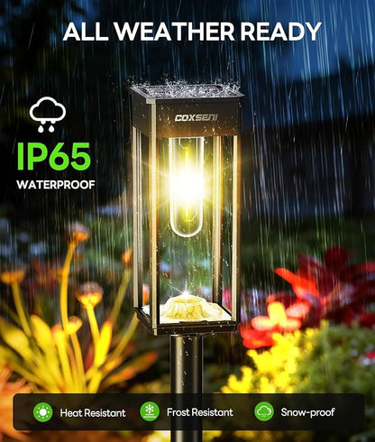 Solar Pathway Lights Outdoor IP65 Waterproof, 6 Pack 3000K LED Auto On/Off Walkway Landscape Light for Yard Lawn Garden Patio Driveway Outside Decor, Warm White
