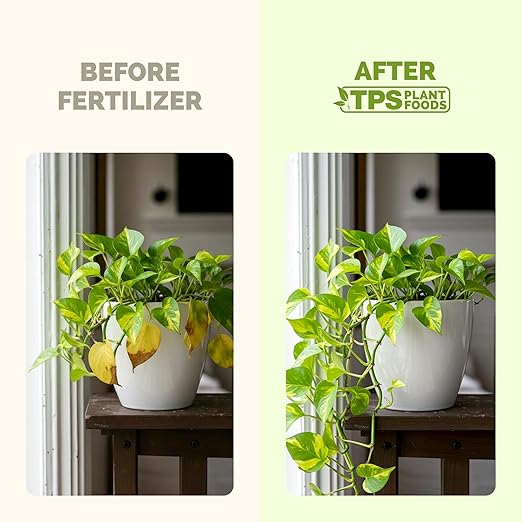 TPS NUTRIENTS Pothos Fertilizer for All Pothos Plants and Vines, Liquid Plant Food 8 oz (250mL)