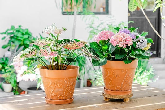Melphoe Plant Pots Indoor with Drainage & Saucer, 2Pack 10 inch Flower Pots Outdoor Planters for Indoor Plants Garden Home Decor Cactus Succulent, Rigid Plastic (Imitation-Terracotta) Vine-Embossed