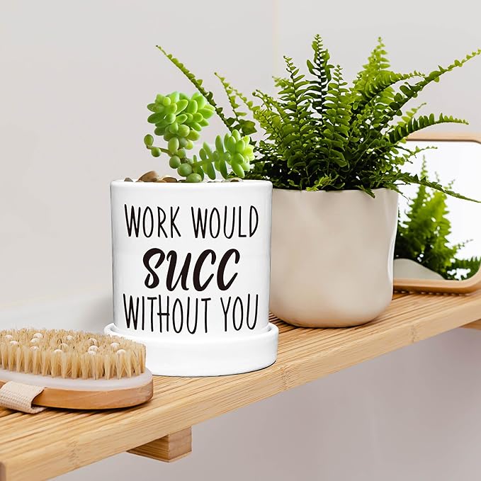 Work Would SUCC Without You Pots - Cute Succulent Planters, 4.3 inch Ceramic Plant Pots, Cute Cactus Planter Pot, Desk Shelf Decor for Home Office