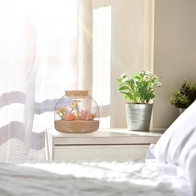 Glass Terrarium Jar with Airtight Wood Stopper for Hydroponic Plants Succulent Planter Moss and Micro Landscape Container 5.90 Inch Clear Glass Vase