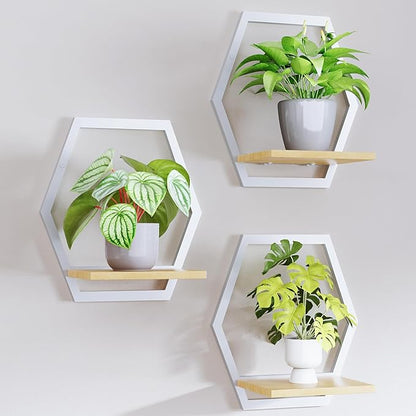Modern White Hexagon Wall Planters with Solid Wood Shelves Set of 3 Geometric Floating Wall Decor for Indoor Plants, Stylish Wall Mounted Display for Succulents & Small Plants