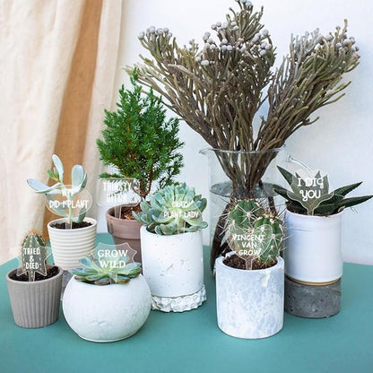 arricraft 15 Pcs T-Shaped Acrylic Plant Labels, Funny Phrases Jokes Waterproof Garden Stake Labels Transparent Funny Marker for Potted Plants Nursery Marker Decoration 4×2.68inch