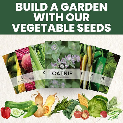 Catnip – 2,750 Premium Seeds for Planting – Fragrant Herb for Pets & Pollinators – 2026 Season – 2 Gram Pouch