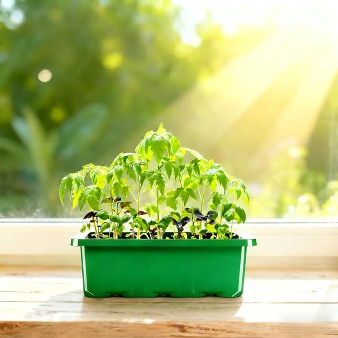 10-Pack Seed Starting Tray with Transparent Moisture-Lock Lid for Hydration and Heat Retention Seed Germination Starter Kit (120-Cell Tray Total) Easy Seedling Cultivation for Home Gardeners