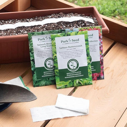 Park Seed Sow Effortless Collection Seed Tape – Giant Cactus Zinnia Mix, 15 Feet – Easy DIY Planting, Vibrant 4–5 Inch Blooms, Strong Stems for Cut Flowers, Quick Germination, No Thinning Required