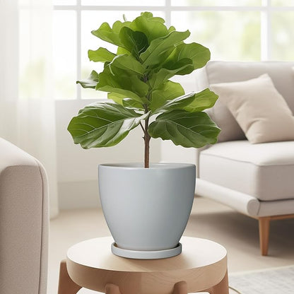 6.8 Inch Planter - Ceraimc Pots for Indoor Outdoor Plants Round Planters Modern Flower Pot with Drainage and Tray Home Garden Decor Gray
