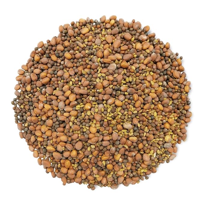 Food to Live Organic Spicy Mix of Sprouting Seeds, 5 Pounds — Non-GMO Broccoli, Radish, Alfalfa, Raw, Rich Germination Rate, Non-Irradiated, Pure, Kosher, Vegan Superfood, Bulk, Rich in Sulforaphane