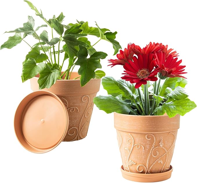 Melphoe Plant Pots Indoor with Drainage & Saucer, 2Pack 8 inch Flower Pots Outdoor Planters for Indoor Plants Garden Home Decor Cactus Succulent, Rigid Plastic (Imitation-Terracotta) Vine-Embossed