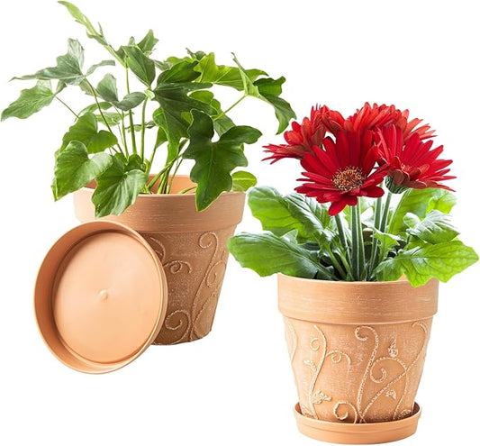 Melphoe Plant Pots Indoor with Drainage & Saucer, 2Pack 8 inch Flower Pots Outdoor Planters for Indoor Plants Garden Home Decor Cactus Succulent, Rigid Plastic (Imitation-Terracotta) Vine-Embossed