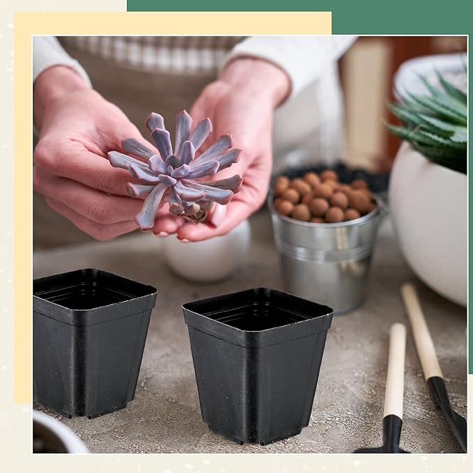 Yinder 500 Pcs 2.7 Inch Black Square Plastic Nursery Pots, Modern Plant Starter Pots, Drainage Hole, Ideal for Indoor Outdoor Flowers, Succulents, Herbs