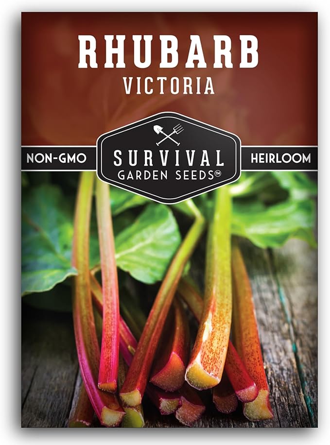 Victoria Rhubarb Seeds for Planting - Grow Cold-Tolerant Perennial Spring Vegetables/Fruit in Your Home Garden - Non-GMO Heirloom Variety - Survival Garden Seeds (1 Pack)