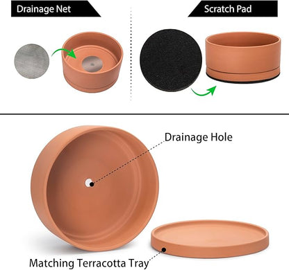 D'vine Dev 12 Inch Succulent Terracotta Shallow Pot with Drainage Hole and Saucer, Round Cylinder Planter Pot for Plant Flower, 40-Y-C-0