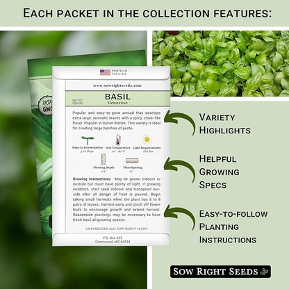 Sow Right Seeds - Basil Seed Collection for Planting - Non-GMO Heirloom Varieties for Indoor & Outdoor Gardens - Genovese, Thai & Opal - Great for Hydroponics Growing - Ideal Gardening Gift