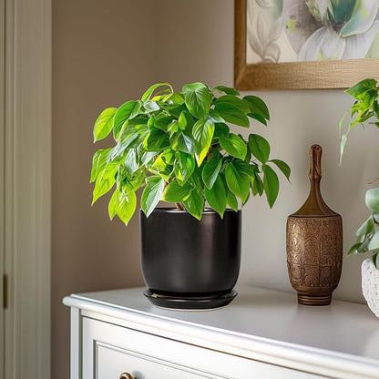 Ceramic Planter 7 Inch - Cylinder Round Modern Indoor Plant Pot for Plants with Drainage Hole and Saucer, Room Home Patio Office Patio Decor, Black