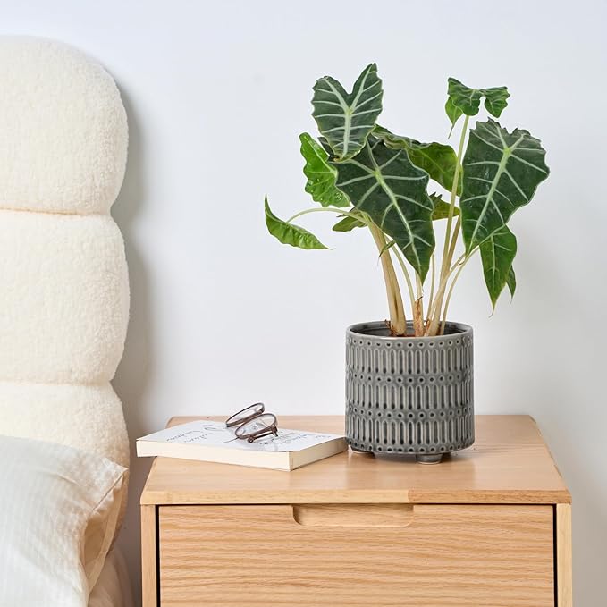 5 Inch Ceramic Planters for Indoor Plants, Gray Cactus Snake Plant Pots with Drainage, Unique Design Round Flower Pot for Home Decoration