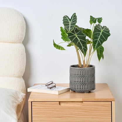 5 Inch Ceramic Planters for Indoor Plants, Gray Cactus Snake Plant Pots with Drainage, Unique Design Round Flower Pot for Home Decoration