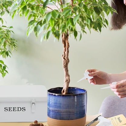Seed Storage Organizer, 4 Compartment Seed Storage Box with Safety Lock, Metal Seed Box Container with 2 Pens, 20 Plant Labels and 50 Seed Envelopes for Seed Packet & Small Garden Tool, White