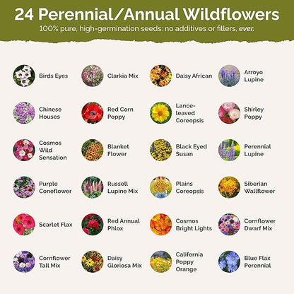 Eden Brothers Southwest Wildflower Mixed Seeds for Planting, 50 lb, 24,000,000+ Seeds with Cornflower, Blanket Flower | Attracts Pollinators, Plant in Spring or Fall, Zones 3, 4, 5, 6, 7, 8, 9, 10
