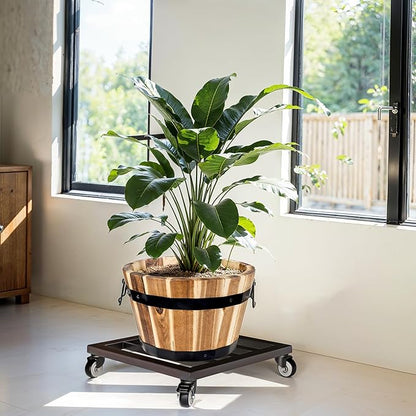 Idzo Plant Caddy with Wheels Lockable Heavy Duty Trolley Capacity 385 Lbs, Metal Cast Iron Plant Dolly, Plant Stand with Wheels Repositioning Heavy Pots 12Inch, Hauling Heavy Household Items - Black
