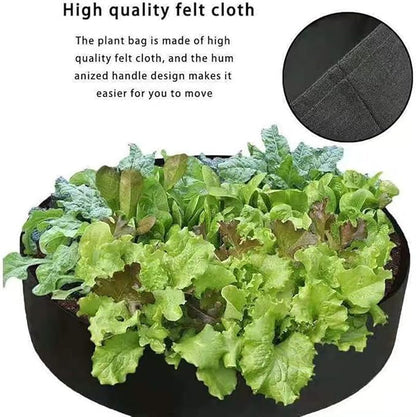 Ulalaza 5PCS Potato Grow Bags with Flap Plant Grow Bags Fabric Multi Ribbon Potato Bag Tomato Vegetable Growth Non-Woven Felt Planting Bag Transparent