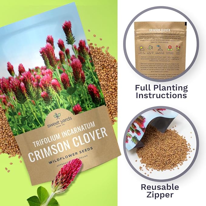 Crimson Clover Seeds for Planting – Bulk 5 Pounds – Over 400,000 Open Pollinated Non-GMO Seeds – Trifolium incarnatum